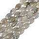 Natural Labradorite Beads Strands(G-H349-A01-03)-2