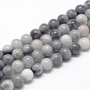Natural Hawk's Eye Beads Strands, Eagle Eye Stone, Round, 10mm, Hole: 1mm, about 40pcs/strand, 15.7 inch(G-R446-10mm-17)