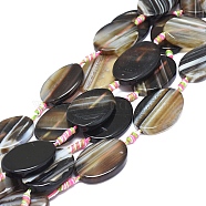 Natural Banded Agate/Striped Agate Beads Strands, Dyed & Heated, Twisted & Oval, Black, 34~36x24~26x5~7mm, Hole: 1.8mm, about 9pcs/Strand, 16.93 inch(43cm)(G-L544-066B-01)