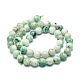 Natural Chrysocolla Beads Strands(G-E576-04B)-2