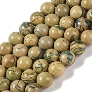 Natural Verdite Stone Beads Strands, Round, 10mm, Hole: 1.2mm, about 37~39pcs/strand, 14.69''(37.3cm)(G-P530-B07-04)