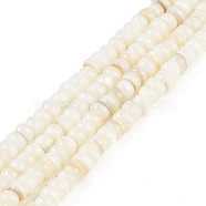 Natural Freshwater Shell  Beads Strands, Rondelle, Floral White, 7x4~4.5mm, Hole: 0.7mm, about 83~85pcs/strand, 15.24~15.35''(38.7~39cm)(BSHE-H109-07)