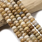 Natural Fossil Coral Beads Strands, Rondelle, 6.5~7x4~4.5mm, Hole: 0.8mm, about 89pcs/strand, 15.35''(39cm)(G-A280-A08-01)