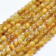 Natural Gold Tiger Eye Beads Strands, Round, 4mm, Hole: 0.5mm, about 91~92pcs/strand, 15.7 inch(40cm)(G-K203-84-4mm)