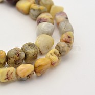 Natural Gemstone Bead Strands, Tumbled Stone, 5~7X5~7mm, Hole: 1mm, about 15.7 inch(G-P070-21)