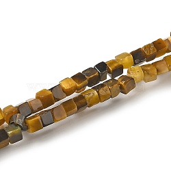 Natural Tiger Eye Beads Strands, Cube, 2~2.5x2.5~3.5x2.5~3mm, Hole: 0.4mm, about 157~165pcs/strand, 14.96~15.75''(38~40cm)(G-B064-A33)