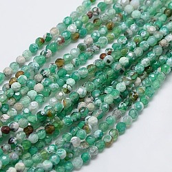 Natural Fire Crackle Agate Beads Strands, Dyed & Heated, Faceted, Round, Medium Sea Green, 4mm, Hole: 1mm, about 95pcs/strand, 14.96 inch(X-G-L084-4mm-11)