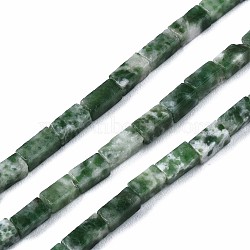 Natural Green Spot Jasper Beads Strands, Cuboid, 4~5x2x2mm, Hole: 0.8mm, about 82~84pcs/strand, 14.76~15.15 inch(37.5~38.5cm)(G-S299-141)