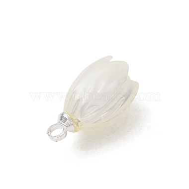 Natural Trochus Shell Pendants(PALLOY-JF05371)-3