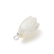 Natural Trochus Shell Pendants(PALLOY-JF05371)-3