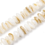 Natural Anomaly Freshwater Shell Beads Strands, Oval, Floral White, 4~5.5x10~12x4.5~5mm, Hole: 0.7mm, about 80~82pcs/strand, 14.57''(37~37.5cm)(BSHE-S304-05B)