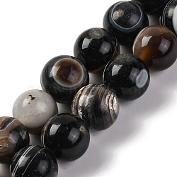 Natural Tibetan Agate(Dyed & Heated) 1-Eye Beads Strands, Round, Coconut Brown, 12mm, Hole: 1.6mm, about 33pcs/strand, 15.43~15.55''(39.2~39.5cm)(G-G163-A02-04)