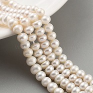 Natural Cultured Freshwater Pearl Beads Strands, Rondelle, Grade 5A, Navajo White, 5~6mm, Hole: 0.6mm, about 41pcs/strand, 7.48 ~7.68 inch(19~19.5cm)(PEAR-C003-34A)