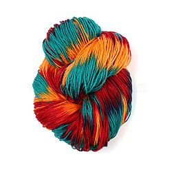 4-Ply Acrylic Fibers Yarn, for Weaving, Knitting & Crochet, Segment Dyed, Colorful, 0.3mm(PW-WG33478-06)