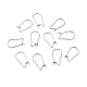 316 boucles d'oreilles en acier inoxydable chirurgical accessoires fils d'oreille rénaux(X-STAS-E009-6)-4