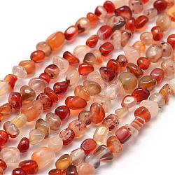 Dyed Natural Carnelian Beads Strands, Nuggets, 3~5x3~5x3~8mm, Hole: 1mm, about 85~90pcs/strand, 15.7 inch(40cm)(G-F465-22)