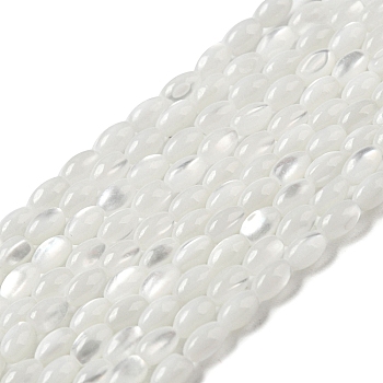 Natural Trochus Shell Beads Strands, Oval, WhiteSmoke, 4~4.5x2.8mm, Hole: 0.5mm, about 89~90pcs/strand, 15.55~15.94''(39.5~40.5cm)