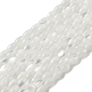 WhiteSmoke Oval Trochus Shell Beads