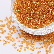 8/0 Grade A Round Glass Seed Beads, Silver Lined, Goldenrod, 8/0, 3x2mm, Hole: 1mm, about 10000pcs/pound(SEED-Q007-3mm-F31)