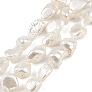 Shell Pearl Beads Strands, Nuggets, Seashell Color, 14.5~20x12~14x10.5~12.5mm, Hole: 0.7mm, about 24pcs/strand, 15.24 inch(38.7cm)(BSHE-C008-01)