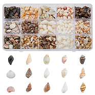 119G 15 Styles Natural Mixed Shell Beads Sets, Shell Shape, Mixed Color, 5~22x3~17x2~10mm, Hole: 0.5~3mm(BSHE-DC0001-01)