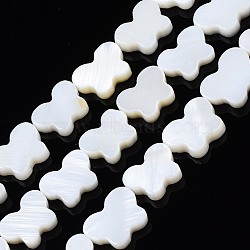 Natural Freshwater Shell Beads Strands, Butterfly, Seashell Color, 8~9x11~12x2.5~3.5mm, Hole: 0.8mm, about 37~39pcs/strand, 14.57 inch~15.35 inch(37cm~39cm)(SHEL-T009-A17-01)