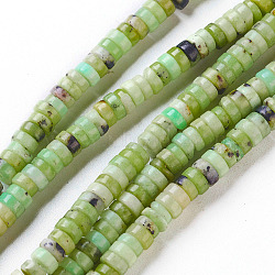 Natural Serpentine Beads Strands, Flat Round/Disc, 4x2mm, Hole: 0.8mm, about 200pcs/strand, 15.9 inch(40.5cm)(G-F576-02)