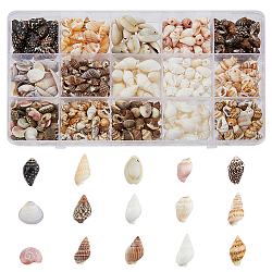 119G 15 Styles Natural Mixed Shell Beads Sets, Shell Shape, Mixed Color, 5~22x3~17x2~10mm, Hole: 0.5~3mm(BSHE-DC0001-01)