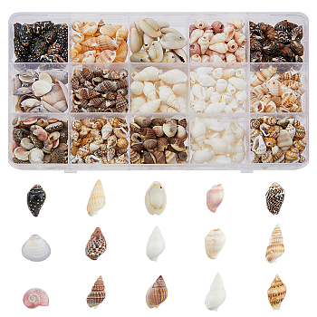 119G 15 Styles Natural Mixed Shell Beads Sets, Shell Shape, Mixed Color, 5~22x3~17x2~10mm, Hole: 0.5~3mm