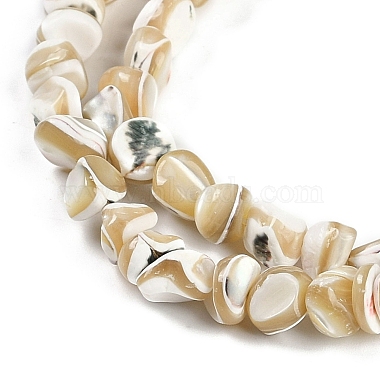 Natural Trochus Shell Beads Strands(BSHE-H109-10)-4