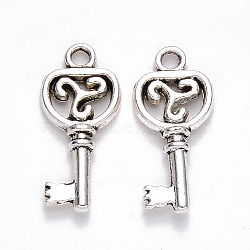 Tibetan Style Alloy Pendants, Skeleton Key, Cadmium Free & Lead Free, Antique Silver, 22x9.5x2.5mm, Hole: 1.8mm, about 1190pcs/1000g(TIBEP-S319-076AS-RS)
