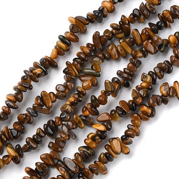 Natural Tiger Eye Beads Strands, Chip, 1.5~4.5x3~13x2.5~8mm, Hole: 0.6mm, 30.94~31.97 inch(78.6~81.2cm)