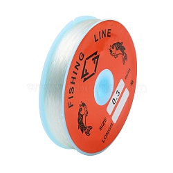 Transparent Fishing Thread Nylon Wire, Clear, 0.3mm, about 109.36 yards(100m)/roll(X-EC-L001-0.3mm-01)