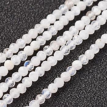 Natural Rainbow Moonstone Bead Strand, Round, Faceted, 2mm, Hole: 0.5mm, about 164pcs/strand, 15.8 inch(40.2cm)