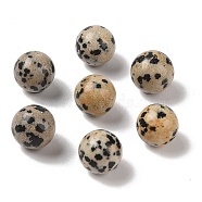 Natural Dalmatian Jasper No Hole Sphere Beads, Round, 10mm(G-K353-04A-16)