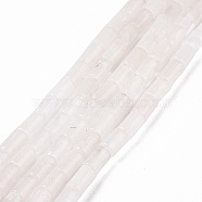 Natural Quartz Crystal Beads Strands, Rock Crystal Beads, Column, 7~7.5x5mm, Hole: 1mm, about 46pcs/strand, 14.76 inch(37.5cm)(G-G990-C14)