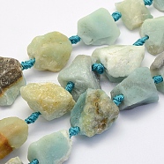 Natural Flower Amazonite Beads Strands, Nuggets, 17~30.5x11~26x11~26mm, Hole: 2mm, about 16~19pcs/strand, 15.7 inch(40cm)(G-G697-E05)