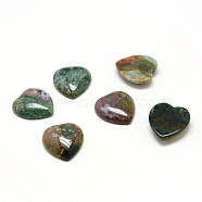 Natural Indian Agate Gemstone Cabochons, Heart, 15x18x6mm(G-T029-18X15mm-06)