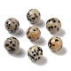 Natural Dalmatian Jasper No Hole Sphere Beads(G-K353-04A-16)-1