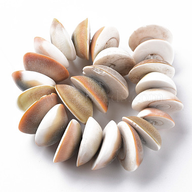 Natural Shell Beads Strands(SSHEL-N034-101)-2