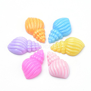 Resin Cabochons, Spiral Shell Shape, Mixed Color, 21x13x5.5mm(CRES-Q197-68)