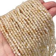 Natural Citrine Beads Strands, Faceted, Round, 3mm, Hole: 0.8mm, about 124pcs/strand, 15.35''(39cm)(X-G-H002-A01-01)