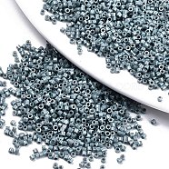 11/0 Grade A Baking Paint Glass Seed Beads, Cylinder, Uniform Seed Bead Size, Opaque Colours Luster, Slate Gray, about 1.5x1mm, Hole: 0.5mm, about 2000pcs/10g(X-SEED-S030-1040)