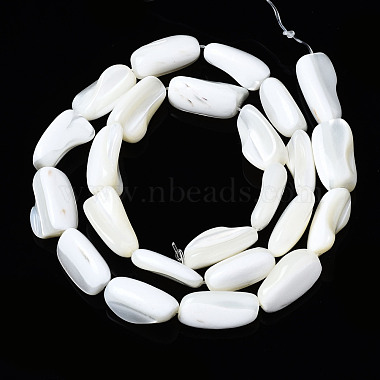 Natural Trochid Shell/Trochus Shell Beads Strands(SSHEL-S266-014A)-2