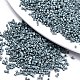 11/0 Grade A Baking Paint Glass Seed Beads(X-SEED-S030-1040)-1