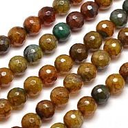Dyed Natural Agate Faceted Round Beads Strands, Camel, 10mm, Hole: 1mm, about 38pcs/strand, 15 inch(X-G-E268-08)