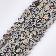Natural Dalmatian Jasper Beads Strands, Faceted, Flat Round, 6~6.5x3.5mm, Hole: 0.8mm, about 59~60pcs/strand, 14.9 inch~15.1 inch(G-S354-17)