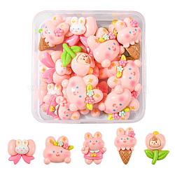 20Pcs 5 Styles Thanksgiving Day Theme Cartoon Opaque Resin Cabochons, Rabbit Flower Cabochons, for Jewelry Making, Pink, 19~27.5x18~25.5x8~10mm, 4pcs/style(RESI-FS0001-51)