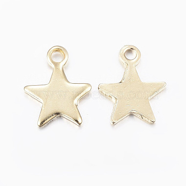 304 Stainless Steel Charms(X-STAS-H436-51)-2