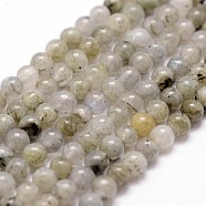 Natural Labradorite Bead Strands, Round, 4mm, Hole: 1mm, about 96pcs/strand, 14.9 inch~15.1 inch(X-G-D840-64-4mm)